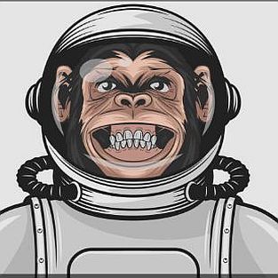 Monkey in a space suit
